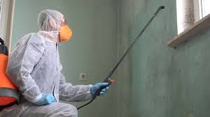 Reliable Oakhurst, CA Mold Removal Solutions